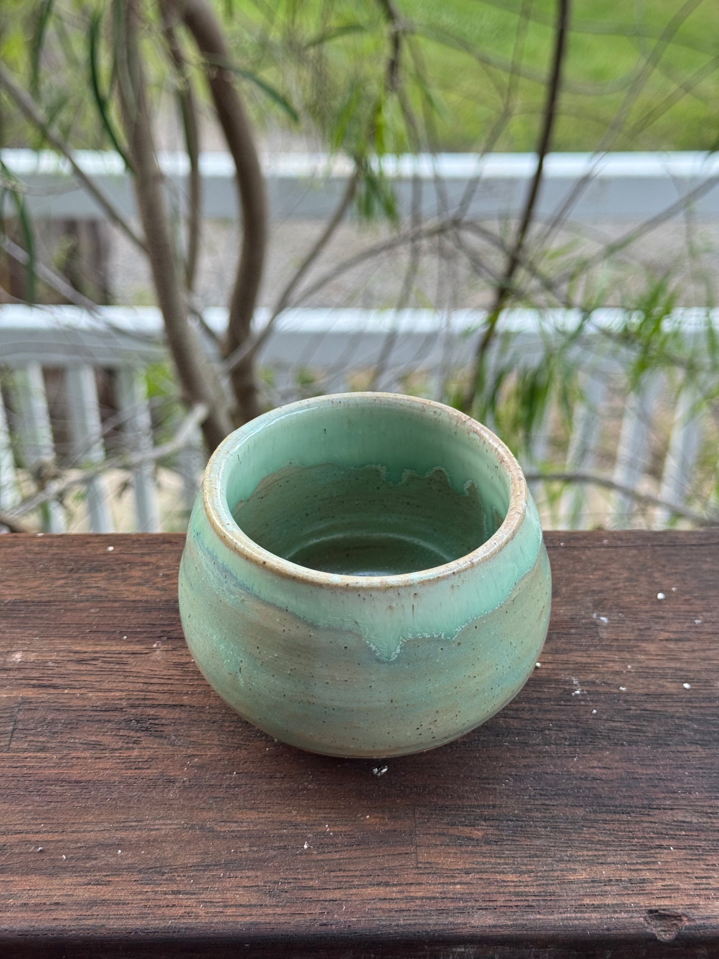 ocean cup