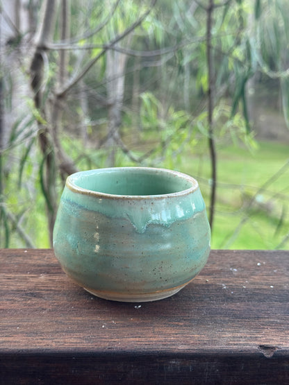 ocean cup