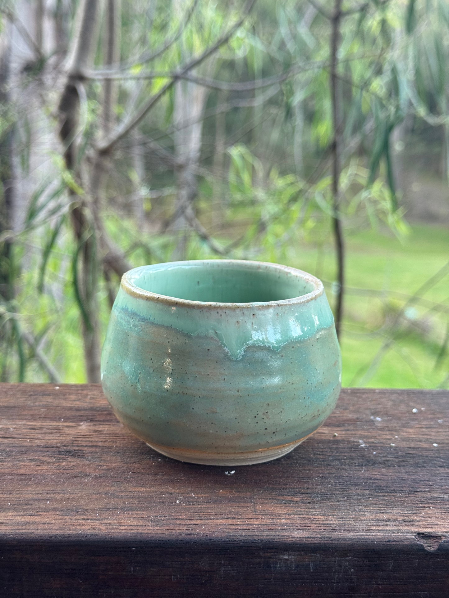 ocean cup